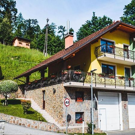Apartmaji Krebs Mezica Bagian luar foto